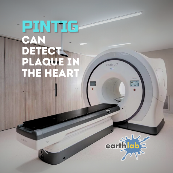 PINTIG Can Detect Plaque in the Heart